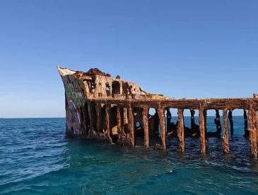 Cruise Shore Excursions – Snorkeling the Historic SS Sapona Shipwreck in Bimini Bahamas