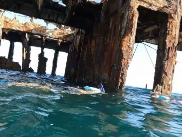 Cruise Excursion Shorts - SS Sapona Shipwreck Snorkeling Carnival Cruise Excursion in Bimini Bahamas