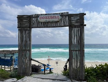 Uncovering the Wonders of Cozumel: The Benefits of a Private Guided Jeep Tour