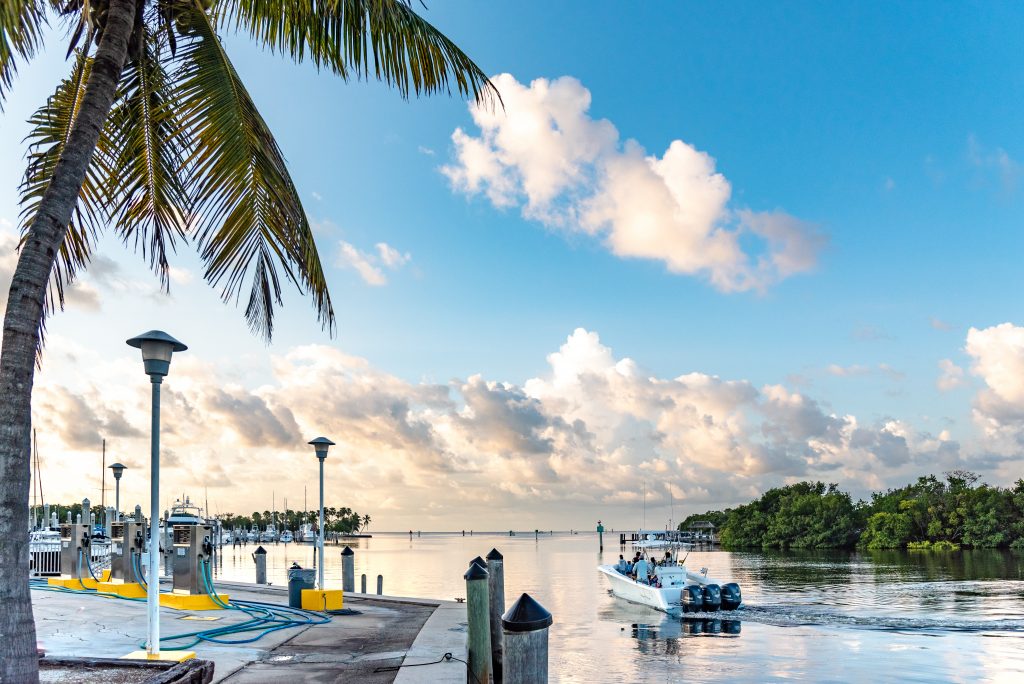 Adventure in Biscayne Bay by Boat