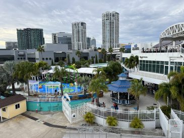 The Top 10 Tampa Florida Cruise Excursions