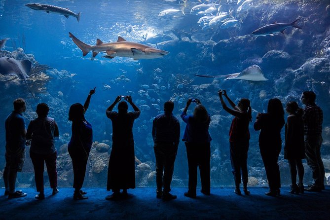 Visit the Florida Aquarium