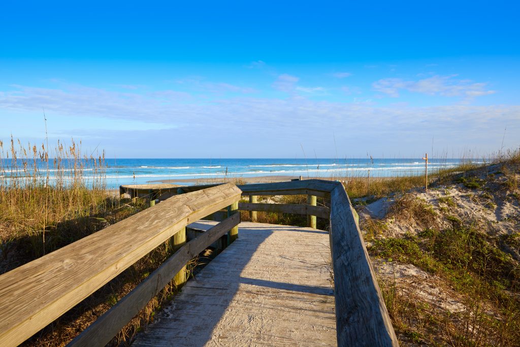 The Top Cruise Shore Excursions in Jacksonville, Florida