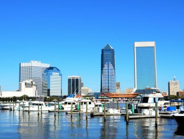 The Top Cruise Shore Excursions in Jacksonville, Florida