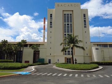 Discovering the Casa Bacardi Tour in Puerto Rico