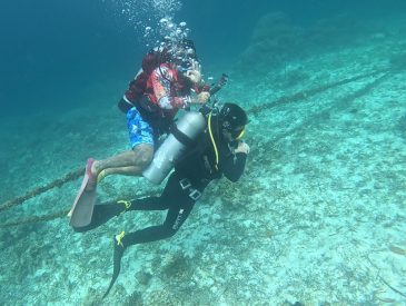 Travel Experiences - Scuba Diving Doljo House Reef in Bohol Philippines with Scotty's Action Sports