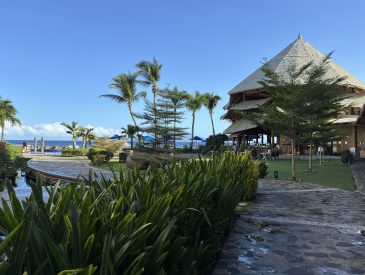 Travel Vlogs - Bohol Philippines Chocolate Hills and Scuba Diving While Staying at Bellevue Resort