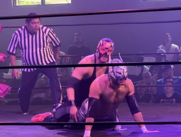 Cruise Shore Excursions - Cozumel Lucha Libre Excursion Review from Viator