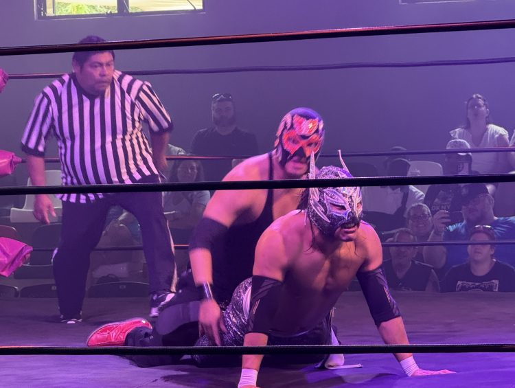 Cruise Shore Excursions - Cozumel Lucha Libre Excursion Review from Viator