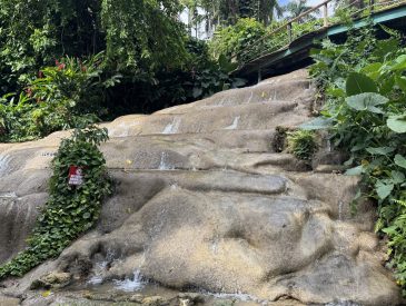 Konoko Falls and Park Ocho Rios | Best Waterfall & Nature Park in Jamaica | Cruise Excursion Guide