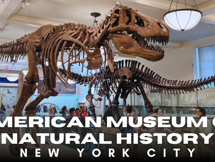 American Museum of Natural History Tour & Review | Must-See Exhibits, Tips & Full Visitor Guide NYC