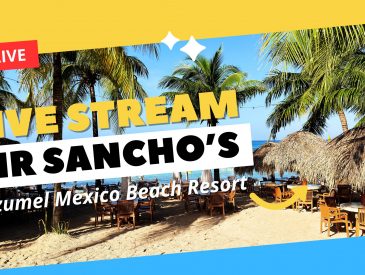 Cruising Addicts is Live from Mr. Sancho’s in Cozumel Mexico