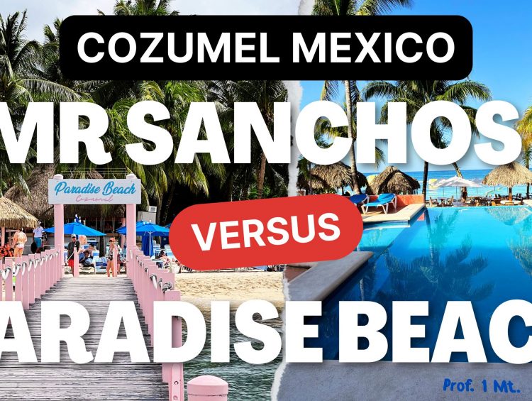 Mr. Sanchos vs Paradise Beach Club | Best Beach Club in Cozumel for Cruise Passengers?