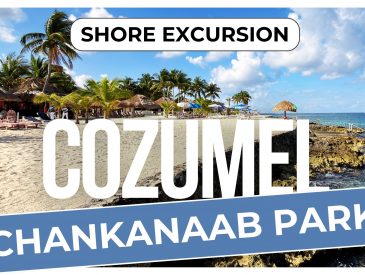 Chankanaab Park Cozumel Review | Snorkeling, Beach & Park Admission (Cruise Excursion Guide)
